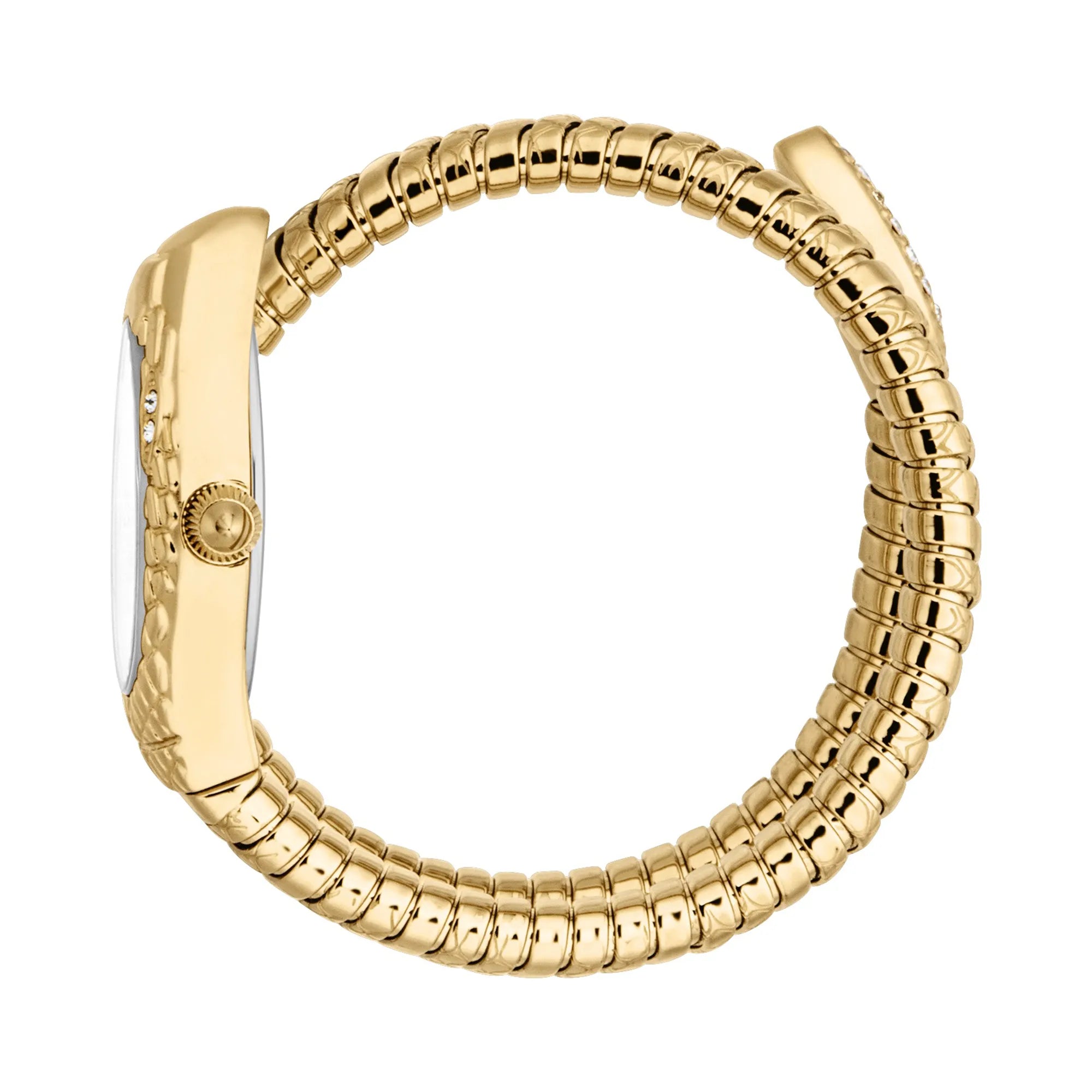 Just Cavalli Just Cavalli Signature Snake Vetra Yellow Gold Silver — immagine 3